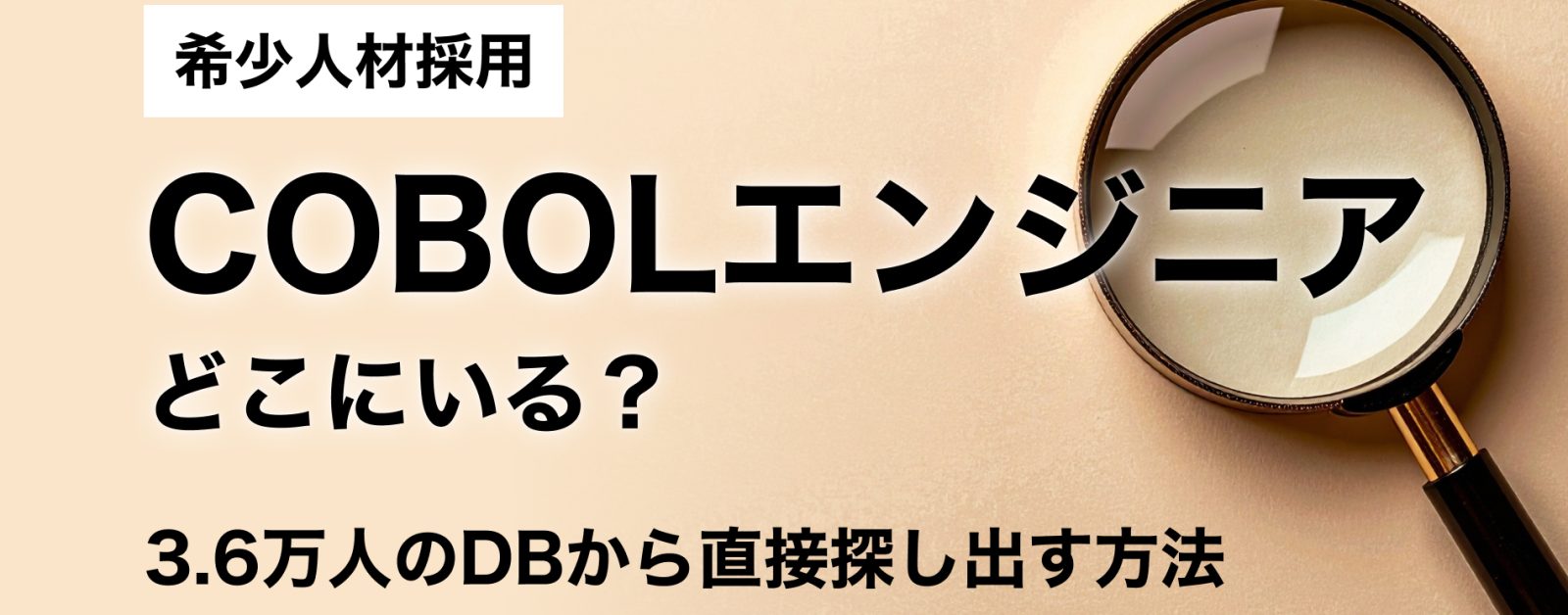 「IBMメインフレーム」「COBOL」の希少人材はどこに? 埋もれた候補者を探し出す検索術
